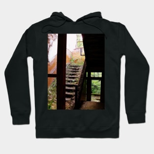 A Path In The Wild Hoodie